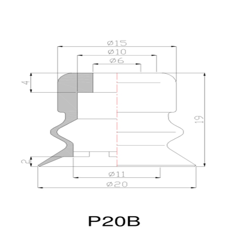P20BS